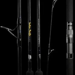 ASWB Elsea Series
