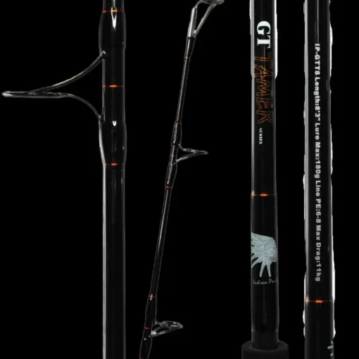 ASWB GT Tamer Series