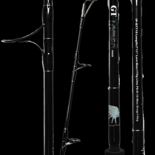 ASWB GT Tamer Series