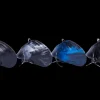 Blue Lip Baits Micro Mussel