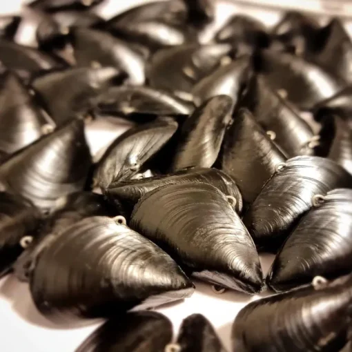 Blue Lip Baits Micro Mussel