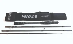 Bone Voyage Travel