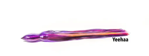 Bonze Exocet