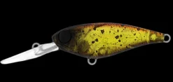 Daiwa Infeet Kodachi 40SF