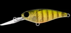 Daiwa Infeet Kodachi 40SF