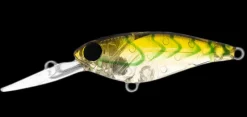 Daiwa Infeet Kodachi 40SF
