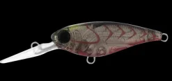 Daiwa Infeet Kodachi 40SF