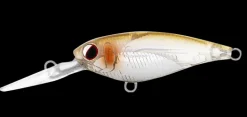 Daiwa Infeet Kodachi 40SF