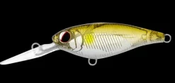 Daiwa Infeet Kodachi 40SF