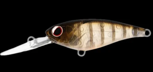Daiwa Infeet Kodachi 40SF