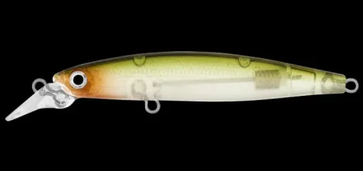 Daiwa Infeet Sazanami 60SP