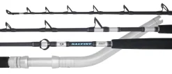 Daiwa Saltist Dendoh Rod