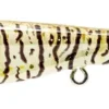 Nomad Design Dartwing 70