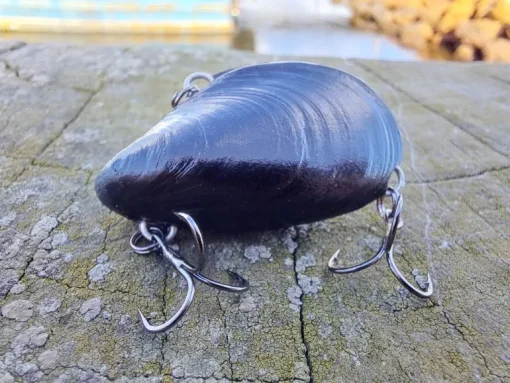 Outback Breamer Mussel Upgrader 8g