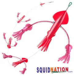 Pakula SquidNation Flippy Floppy Teaser