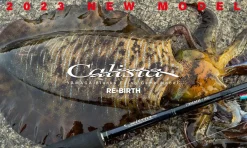 Yamaga Blanks Calista