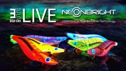 Yamashita Egi OH Live Neon Bright