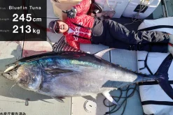 Zenaq Tobizo TC 77 Tuna Monster Buster
